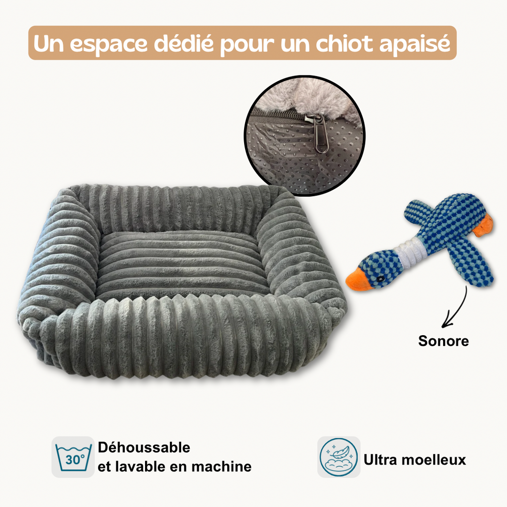 Pack Bienvenue à la maison
