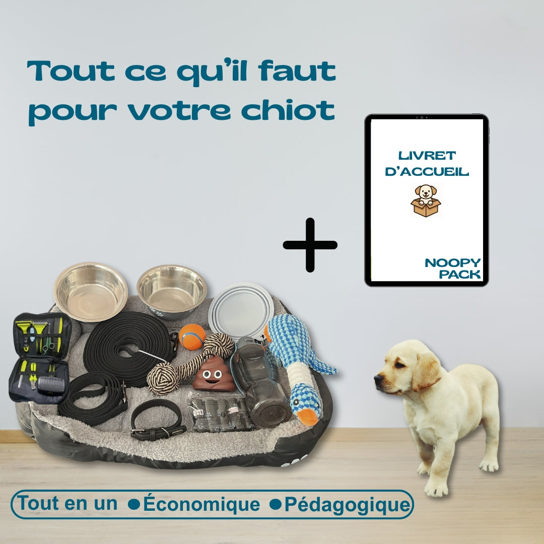 Pack Bienvenue à la maison