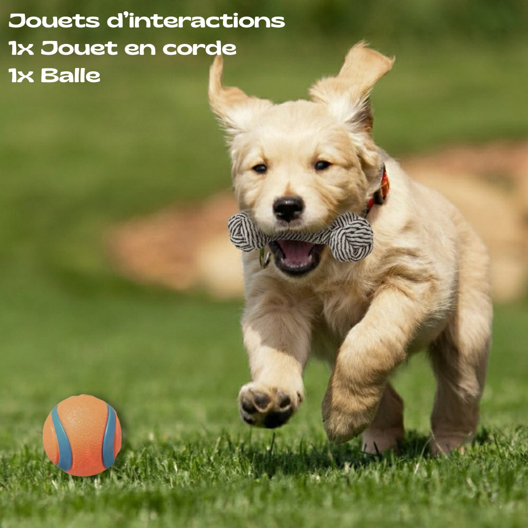 Pack Bienvenue à la maison