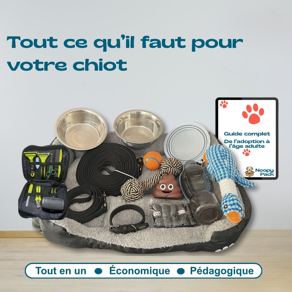 Pack Bienvenue à la maison