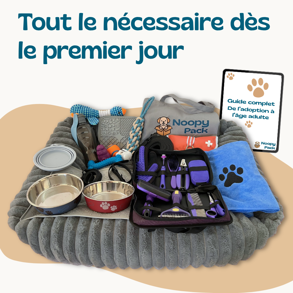 Pack Bienvenue à la maison