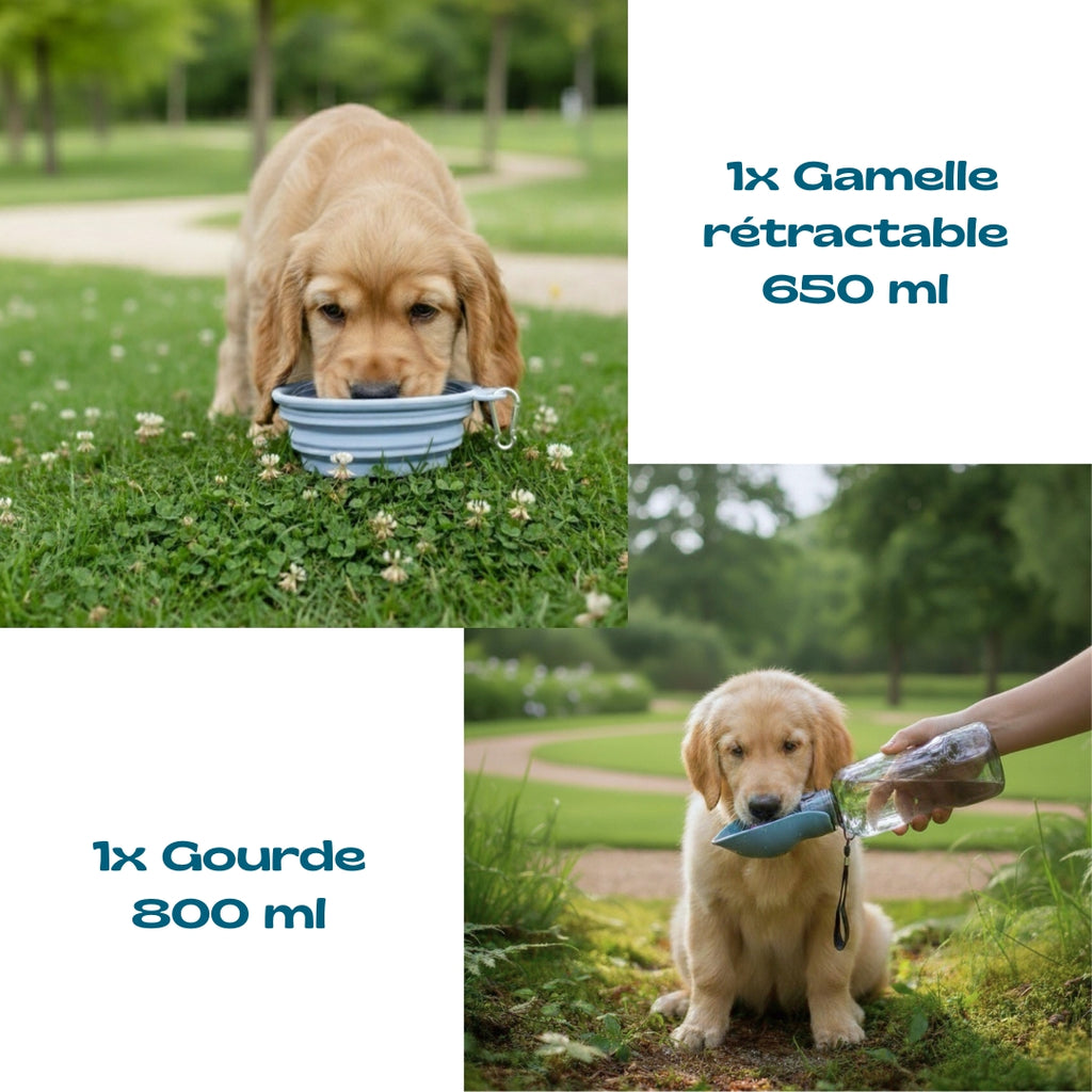 Pack Bienvenue à la maison