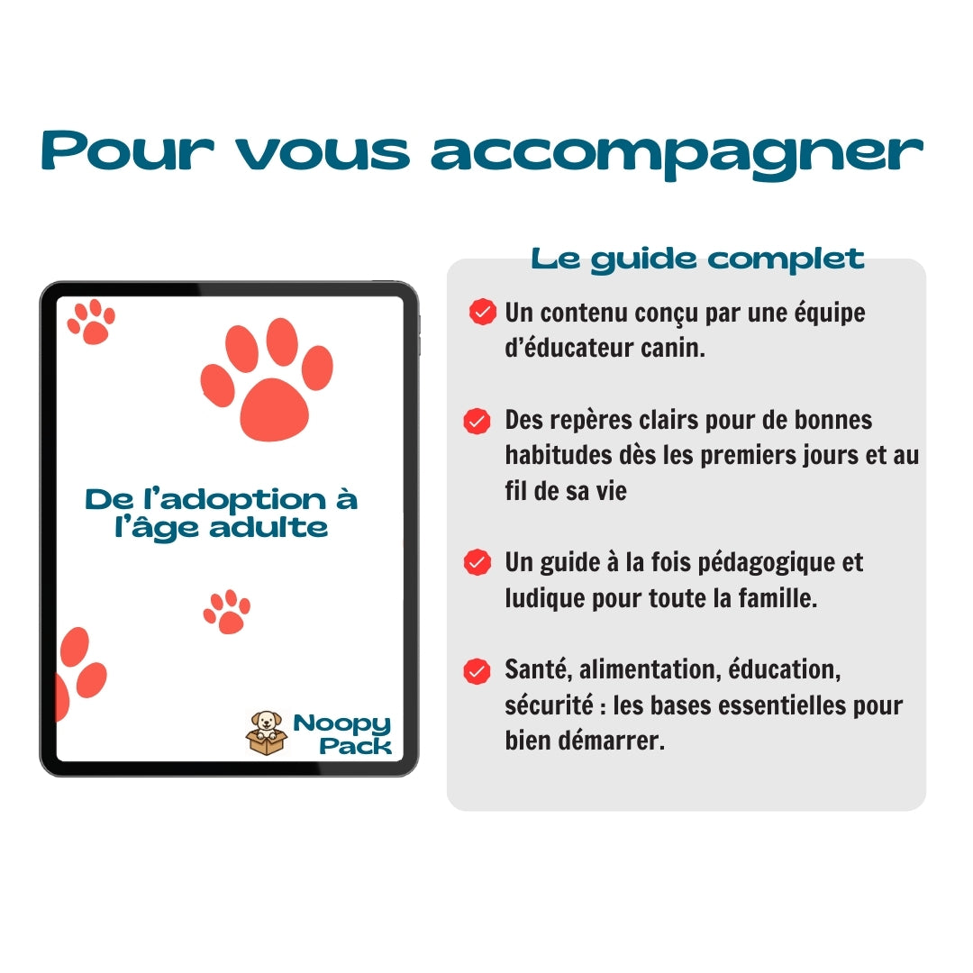 Pack Bienvenue à la maison