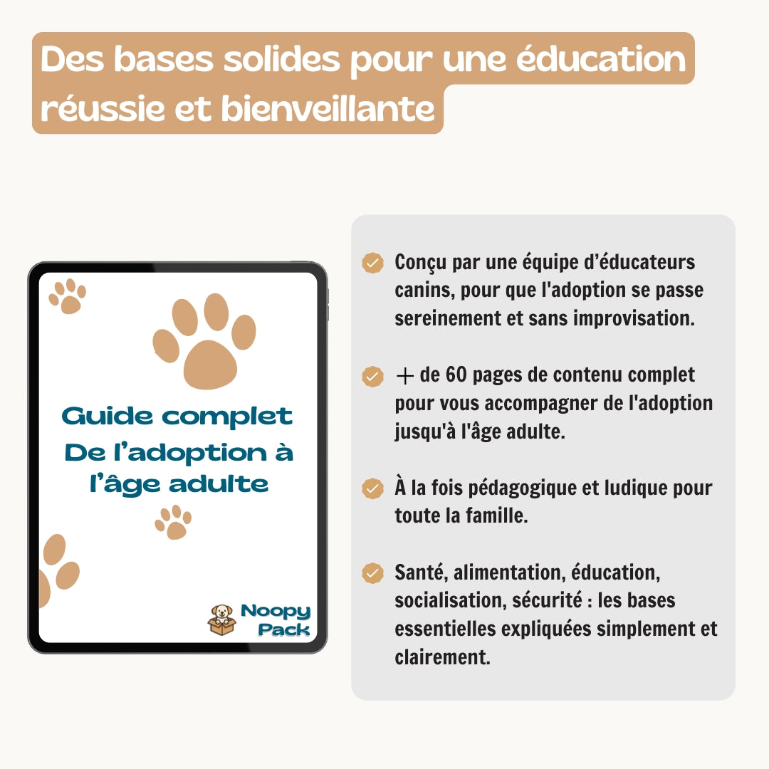 Pack Bienvenue à la maison