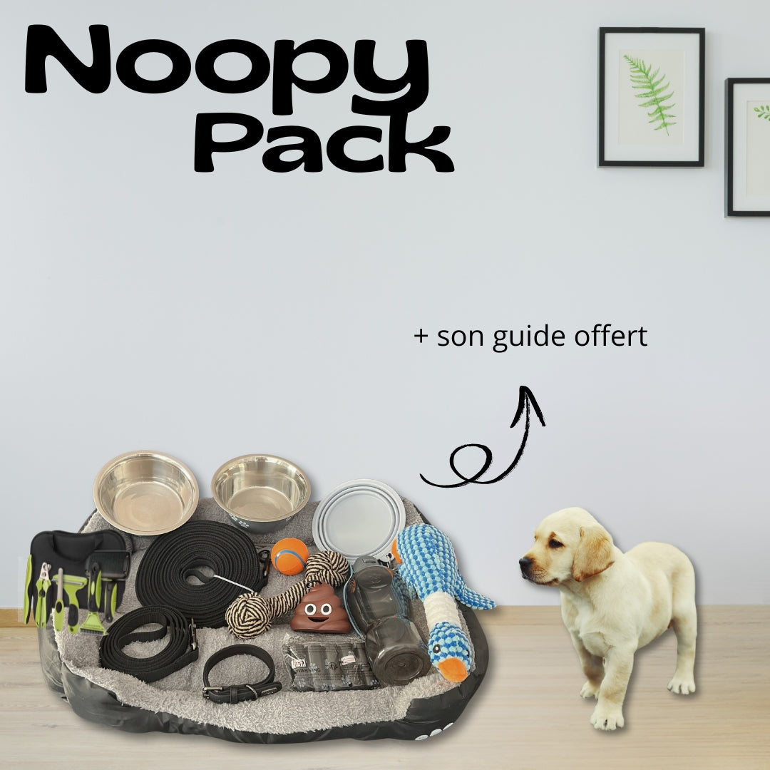 Pack : Bienvenue à la maison