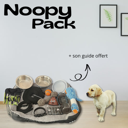 Pack : Bienvenue à la maison